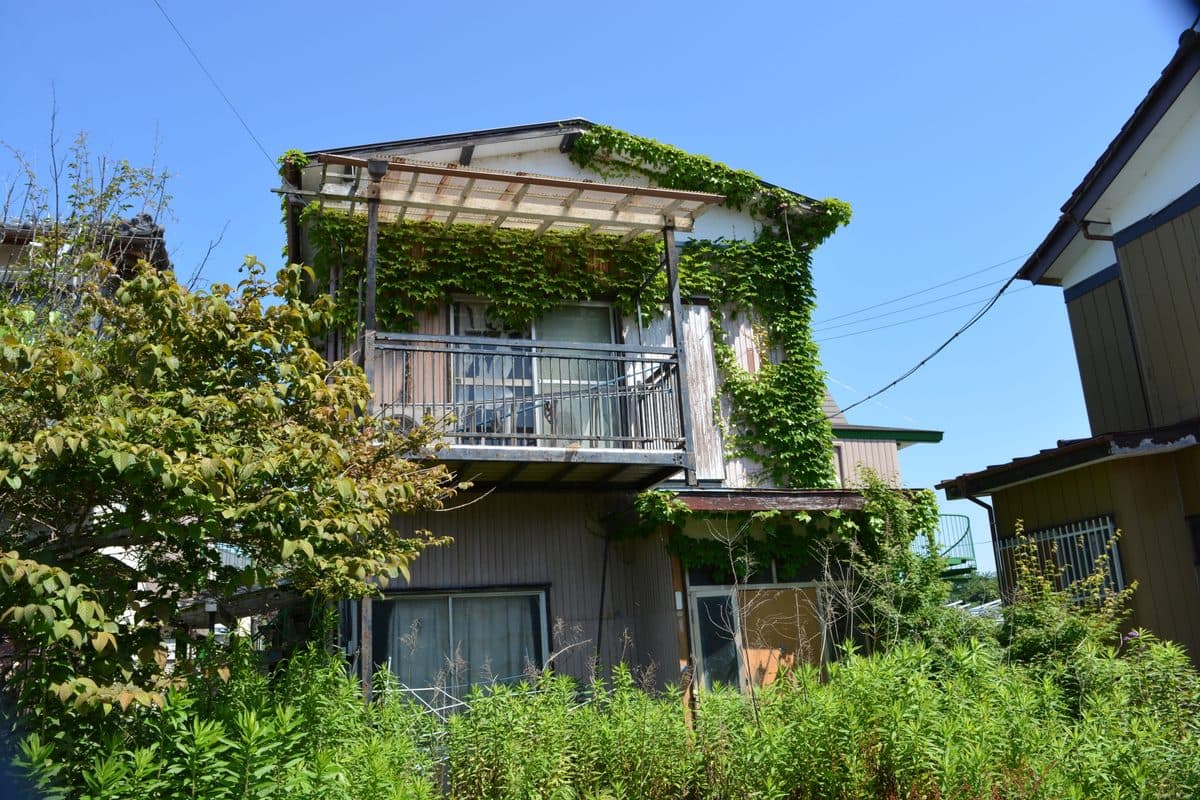 庭木のある日本の一戸建ての外観